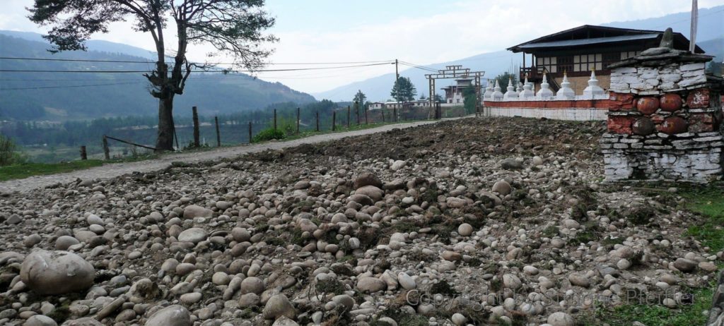 Feld in Bumthang. Man kann nur erahnen wie hart die Arbeit der Bergbauern ist.