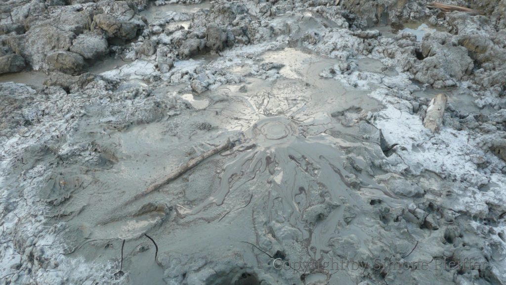 Borneo - Tabin - Lipad Mud Volcano 