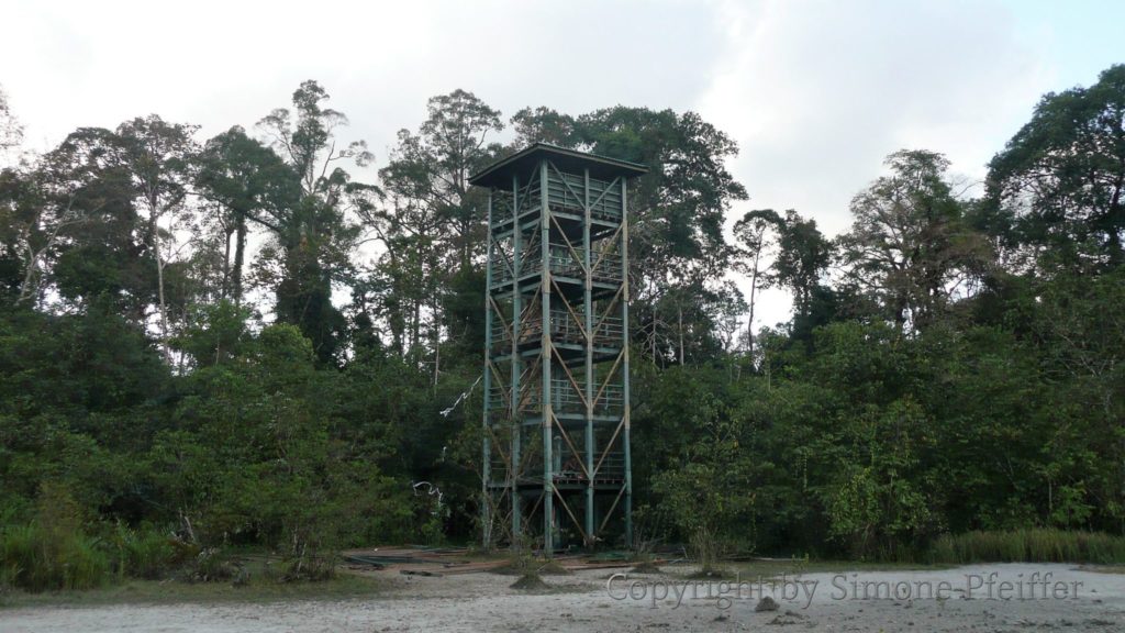 Borneo - Tabin - Lipad Mud Volcano - Watchtower - www.explorations-travel.com